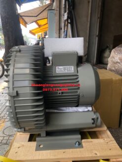 Máy thổi khí con sò Greatech RS