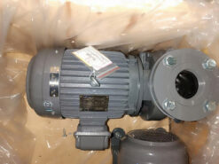 Máy bơm nước Teco G