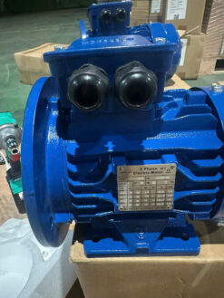 Động cơ điện Motology